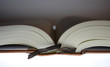 IMG_3175livre.JPG