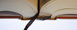 IMG_3178livre.JPG