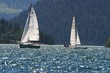 Foto: Segeln auf dem Plansee Segeln auf dem Plansee