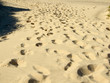 FOOTPRINTS