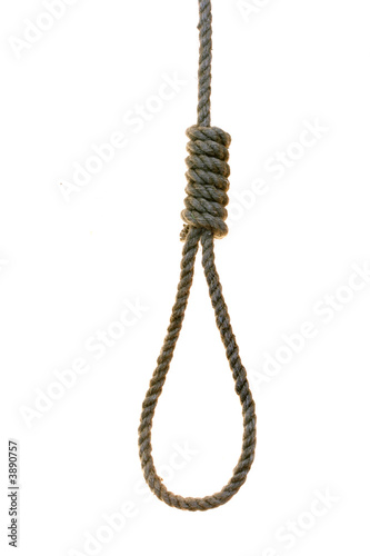 Photo: noose over the white background noose over the white background