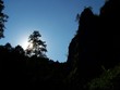 shadow of rock and tree