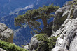 Backpacker Land Backpacker Land