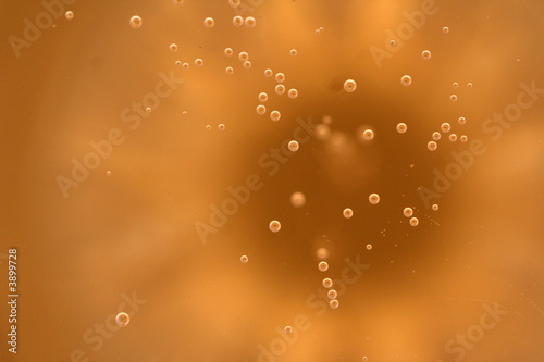 Foto: bulles de champagne bulles de champagne