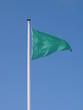 Drapeau vert Drapeau vert