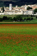 norcia