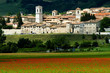 norcia