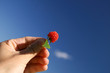 raspberry