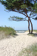Sandy path to the beach Sandy path to the beach