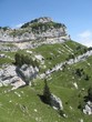 Paysage de Chartreuse