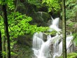 Wasserfall im Wald