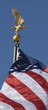 Golden eagle and American Flag Golden eagle and American Flag