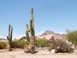 arizona housing
