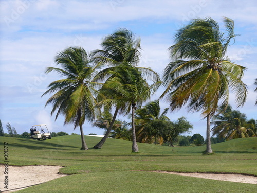 Golfplatz in der Karibik