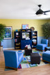 TV and entertainment room