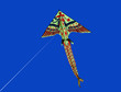 kites