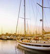 harbour antibes alpes maritime cote d'azur french riviera 