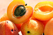 abricots