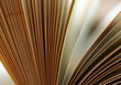 The image of the open book close-up The image of the open book close-up