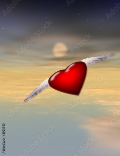  Single Winged Heart - Alone - Lonely - Journey - Love
