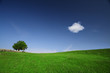 Green field