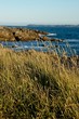 bretagne , la cote