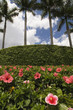 Florida Landscaping