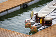 Dragon Rowing Boats