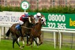 Horse Racing
