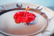 Flower in a bowl