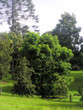 countryside