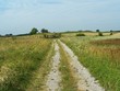 field road
