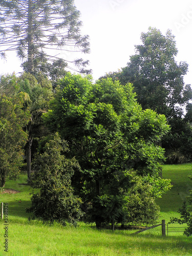 countryside countryside