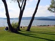 Am See