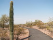 arizona