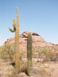 desert, arizona