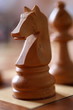 jeux d'echec, cheval