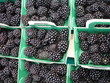 barquettes de mûres
