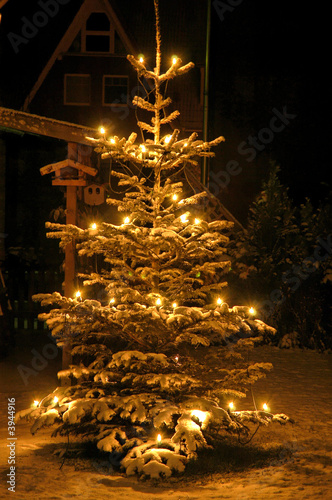 Foto: Winter, Schnee, Weihnachten Winter, Schnee, Weihnachten