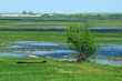 Biebrza River 1