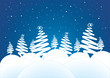 Snowy trees