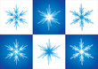 Vector snowflakes
