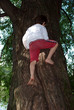 climbing