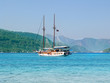 White ship