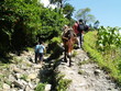 mule train in mountains