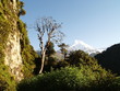 distant mountain