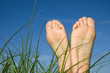 Summer relax