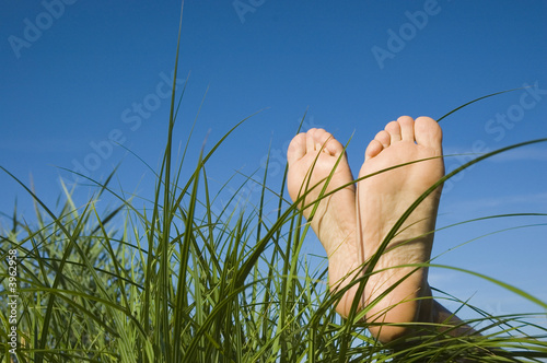 Summer relax