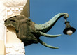 elefant