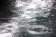 Rain Drops